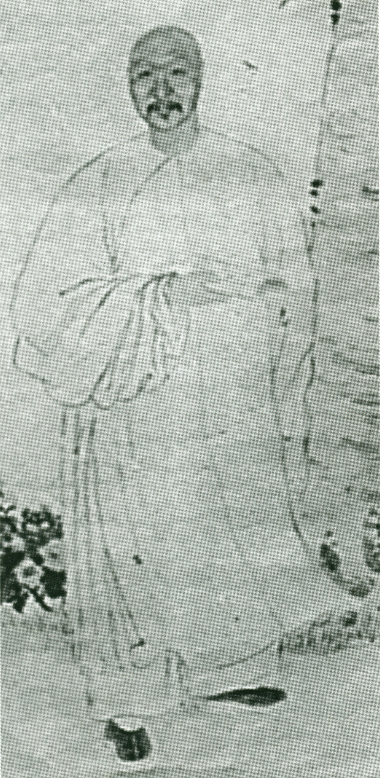秦焕